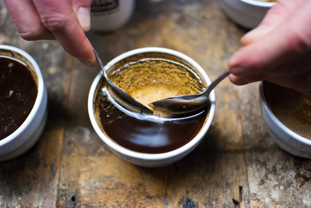 Cupping at RhoadsRoast Coffees - RhoadsRoast Coffees & Importers