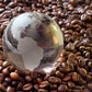 1 lb. Brazil Cerrado Arabica - Natural 17/18 Fresh Medium Roast 100% Arabica Coffee Beans - RhoadsRoast Coffees & Importers