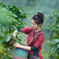 10 lbs. Indo-Pacific Java Estate Kayumas Fresh Indonesian Wet-Hulled Medium Roast 100% Arabica Coffee Beans - RhoadsRoast Coffees & Importers
