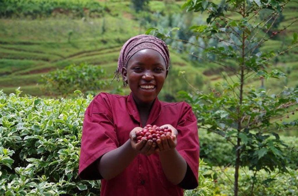 The Women Coffee Farmers of Rwanda: A Sustainable Source of Growing Coffee through Leadership - RhoadsRoast Coffees & Importers