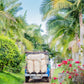 5 lbs. Costa Rica Hacienda Miramonte Peaberry Washed Fresh Unroasted 100% Arabica Coffee, New!