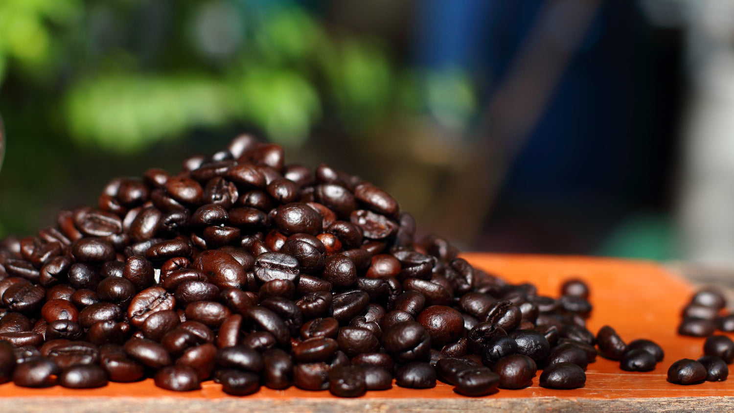 1 lb. Fresh Selections Medium/Dark 100% Arabica Coffees: Whole Beans or  Ground