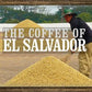 10 lbs El Salvador SHG Santa Maria RFA Certified Fresh Green 100% Arabica Coffee Beans - RhoadsRoast Coffees & Importers