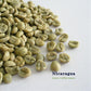 10 lbs Nicaragua La Finca La Rubia SHG EP Fresh Green 100% Arabica Coffee Beans - RhoadsRoast Coffees & Importers