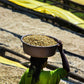 10 lbs. Unroasted Ethiopian Queen City Harrar Natural 100% Arabica Coffee Beans - RhoadsRoast Coffees & Importers