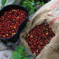 15 lbs. Colombian Medellin Supremo Fresh Medium Roast 100% Arabica Coffee Beans - RhoadsRoast Coffees & Importers