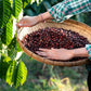 2.5 lbs. Sumatra Permata Gayo Mandheling Organic GR1 DP Fresh Light/Medium Roast 100% Arabica Coffee Beans - RhoadsRoast Coffees & Importers