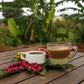 2 lbs. Bali Blue Moon Organic Fresh Light Roast 100% Arabica Coffee Beans - RhoadsRoast Coffees & Importers