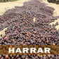 2 lbs Ethiopian Queen City Harrar Grade 4 Fresh Dark Espresso  Roast 100% Arabica Coffee Beans - RhoadsRoast Coffees & Importers