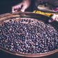 2 lbs Ethiopian Natural Sidamo Grade 3 Guji Fresh Dark Espresso Roast 100% Arabica Coffee Beans - RhoadsRoast Coffees & Importers