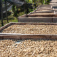 2 lbs Ethiopian Natural Sidamo Grade 3 Guji Fresh Light Roast 100% Arabica Coffee Beans - RhoadsRoast Coffees & Importers