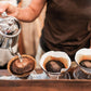 2 lbs Guatemalan Organic Finca Ceylan SHG RFA SMBC Medium Roast Coffee Beans - RhoadsRoast Coffees & Importers