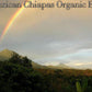 2 lbs. Mexican Chiapas MOCABE SHG E/P Organic Fresh Light Roast 100% Arabica Coffee Beans - RhoadsRoast Coffees & Importers