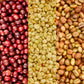 20 lbs. Colombian Medellin Supremo 17/18 Screen Size Fresh Unroasted 100% Arabica Coffee Beans - RhoadsRoast Coffees & Importers