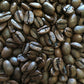 3 lbs. Mexican Chiapas Organic Swiss Water Decaf Fresh Medium Roast 100% Arabica Coffee Beans - RhoadsRoast Coffees & Importers