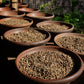 5 lbs. Bali Blue Moon Organic Fresh Unroasted 100% Arabica Coffee Beans - RhoadsRoast Coffees & Importers