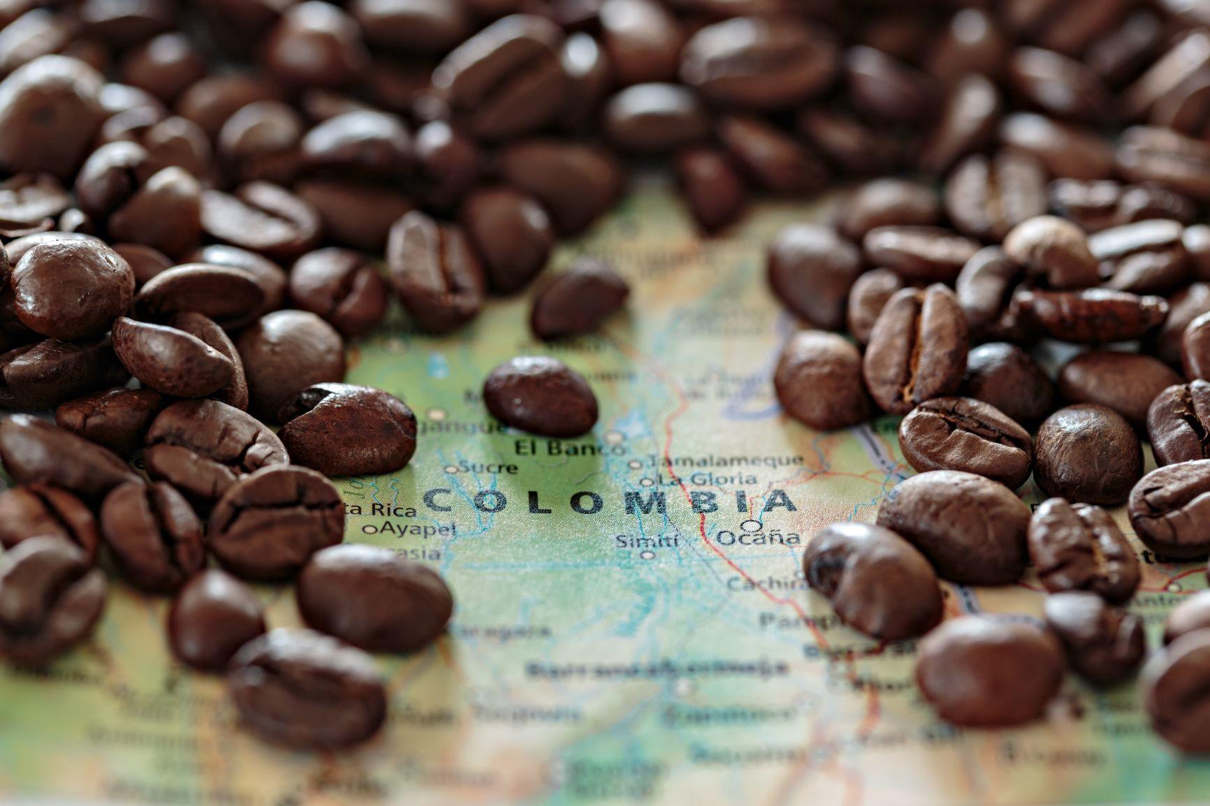 2 lb Colombian Santa Barbara Excelso 15/16 Espresso, Dark Roasted Coffee  Beans