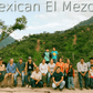 9 lbs. Mexican El Mezcal Micro Lot Fresh Unroasted Fresh Crop 100% Arabica Coffee Beans - RhoadsRoast Coffees & Importers