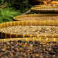 5 lbs. Timor Cooperativa Café Organic Unroasted 100% Arabica Coffee — photo published by RhoadsRoast Coffees & Importers®