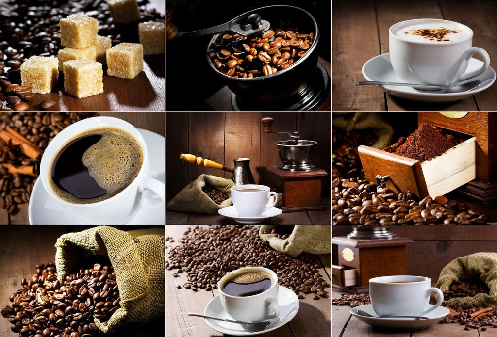 Ethiopian Queen City Harrar Grade 4 Natural Fresh Roasted 100% Arabica Coffee Beans